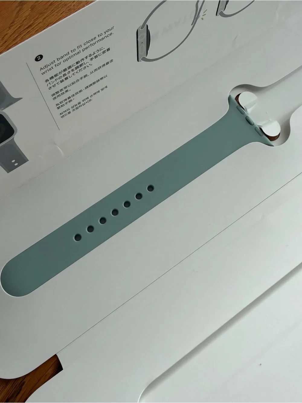 Apple Watch Sport Band - Succulent (Medium/Large band only)